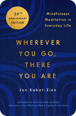 wherever you go, there you are - peaceful mindset books to read