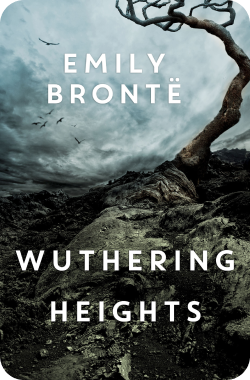 wuthering heights book summary winter reads