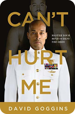 Can't hurt me book summary - new year books to read 2024