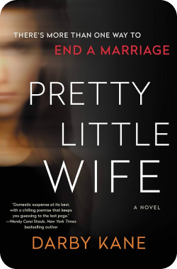 Pretty Little Wife Book Summary - mystery books